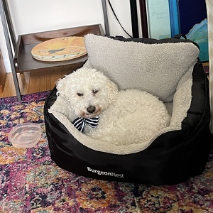 Fundraising Page: Chrissy Herbert